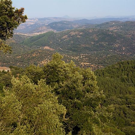 Rusticae Finca La Fronda Alájar Екстериор снимка