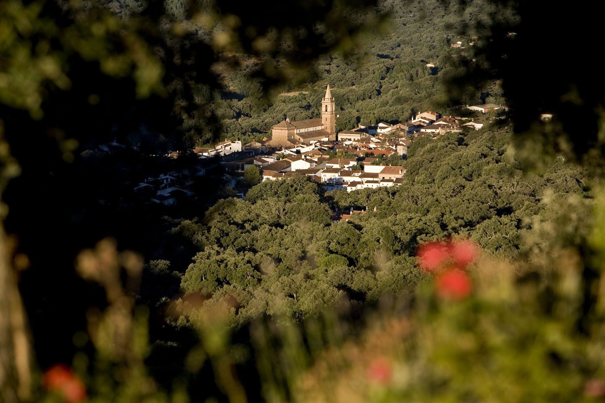 Rusticae Finca La Fronda Alájar Екстериор снимка